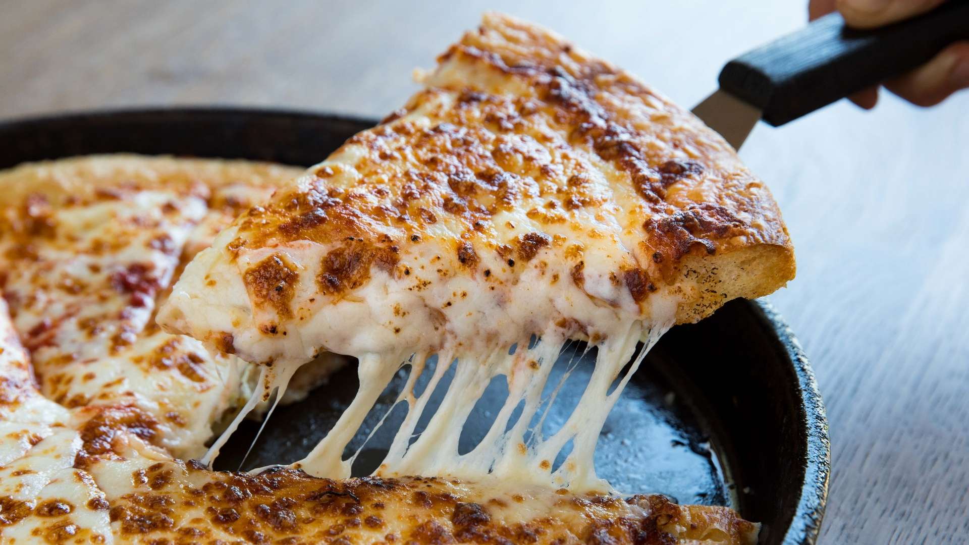 抓住了关键 抓住了关键